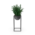 Planta Decorativa en Maceta